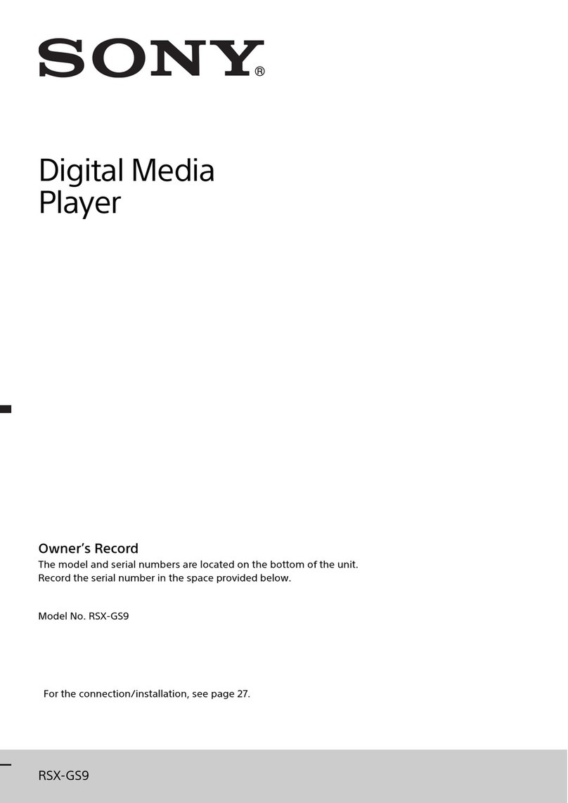 Sony RSX-GS9 user manual