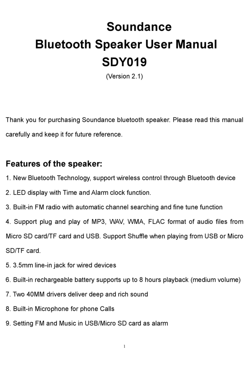 Soundance SDY019 user manual