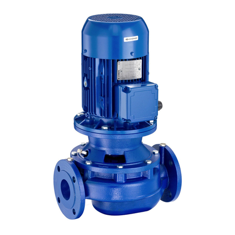 Xylem LOWARA e-LNE Series User manual Xylem LOWARA e-LNE Series User manual