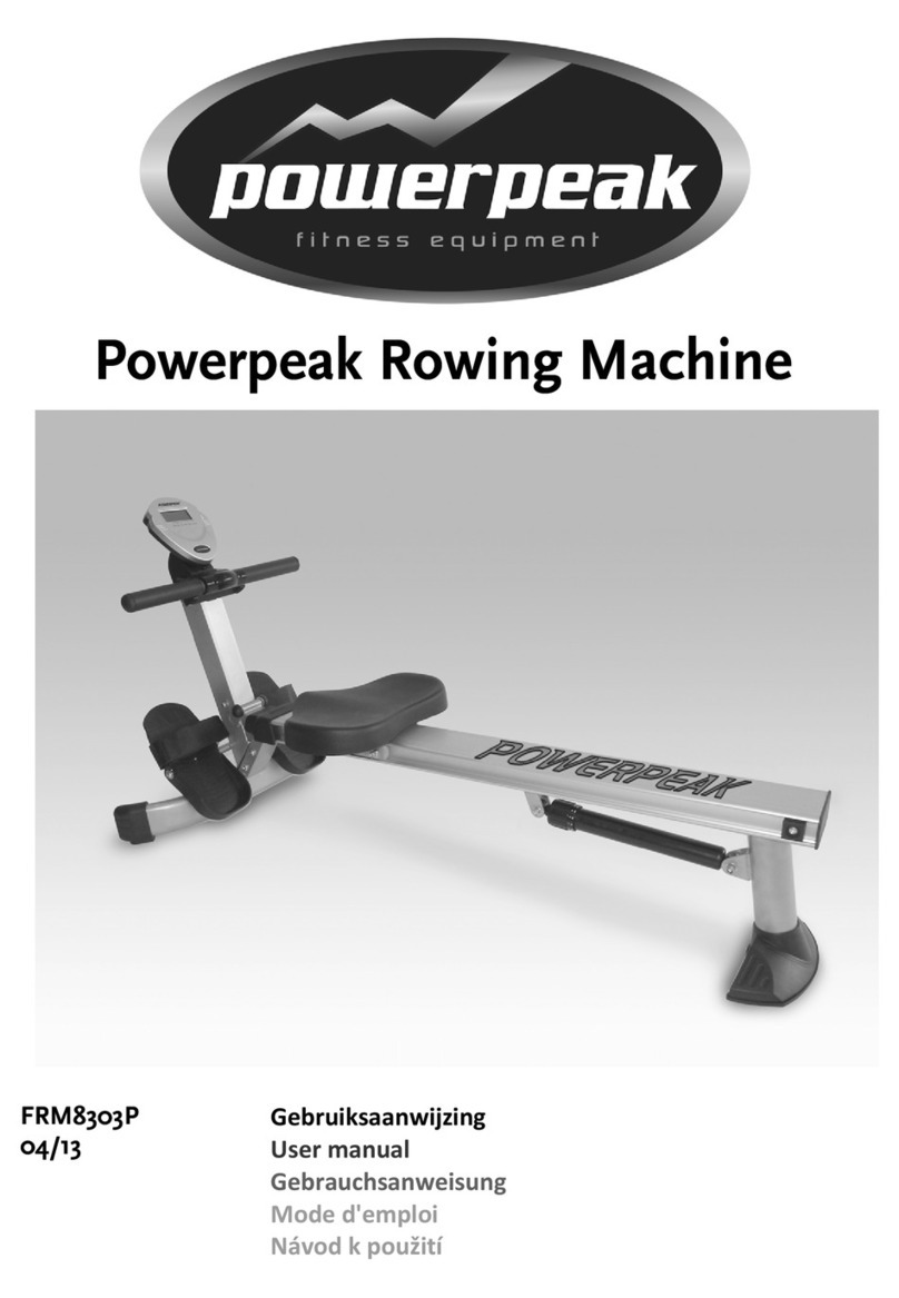 PowerPeak FRM8303P User manual