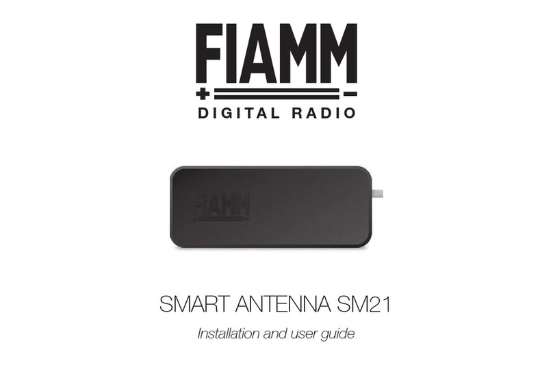 Fiamm SM21 Installation and user guide Fiamm SM21 Installation and user guide