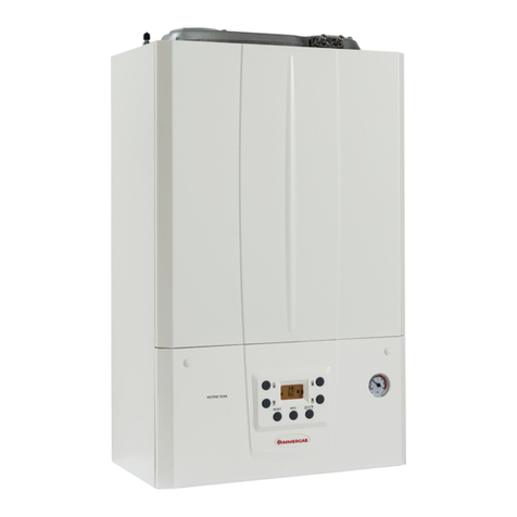 Immergas Victrix Tera 28 1 Product manual