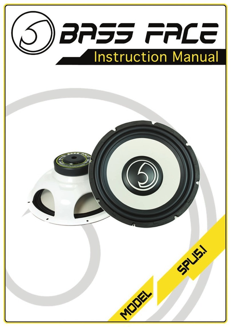 BASSFACE SPLI5.1 instruction manual