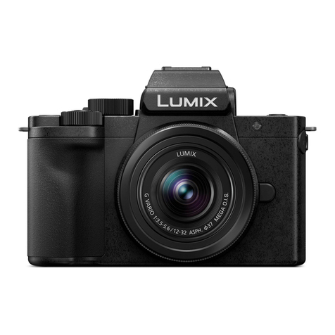 Panasonic Lumix DC-G100 User manual