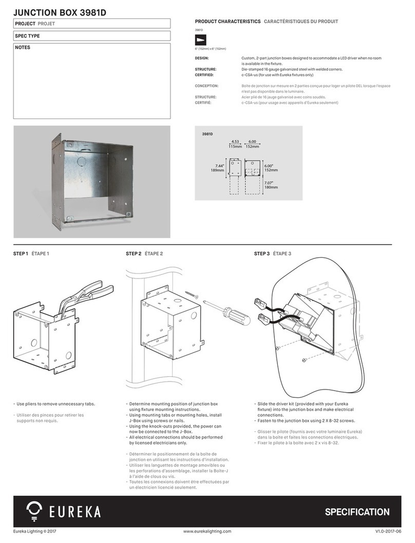Eureka 3981D manual