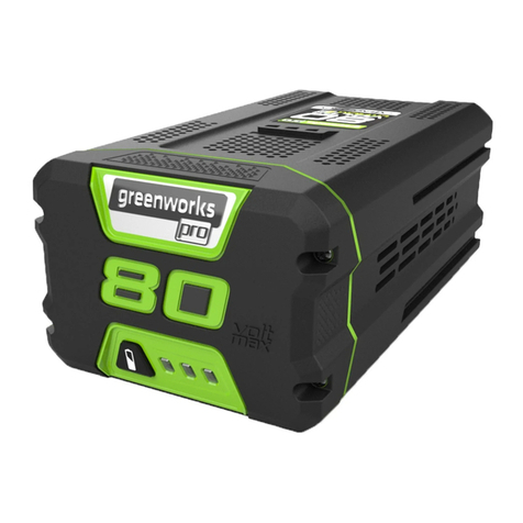 GreenWorks 2902402 User manual