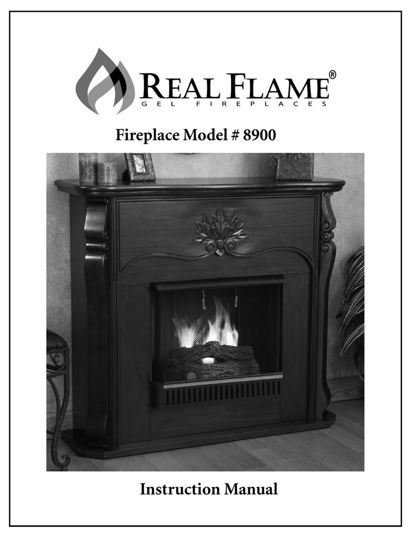 RealFlame 8900 User manual