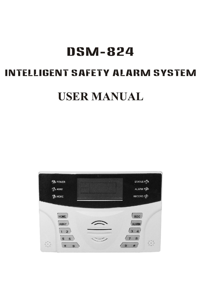 Blunet DSM-824 user manual