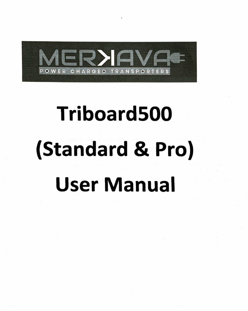 Merkava TriboardS00 Standard user manual