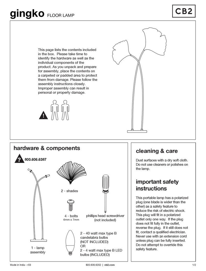 CB2 Gingko quick guide