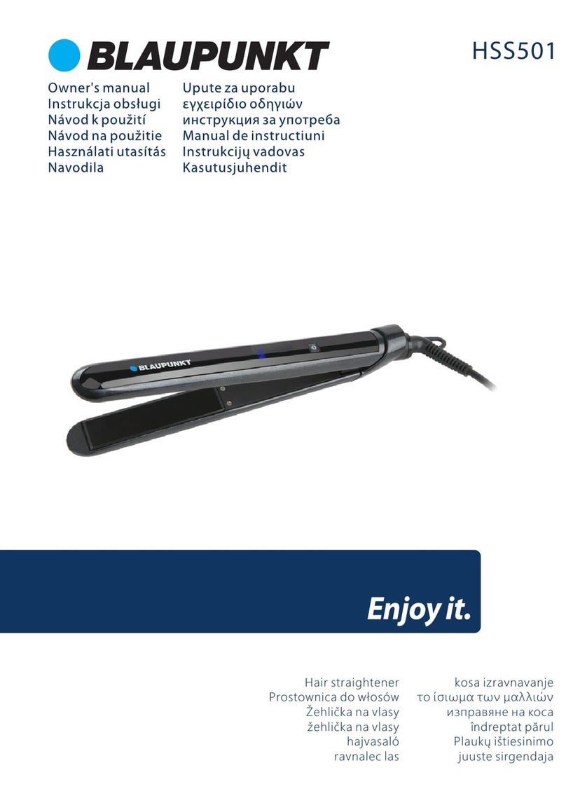 Blaupunkt HSS501 User manual