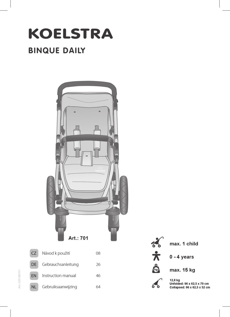 Koelstra BINQUE Daily instruction manual