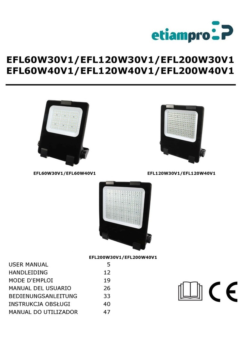 EtiamPro EFL60W30V1 User manual