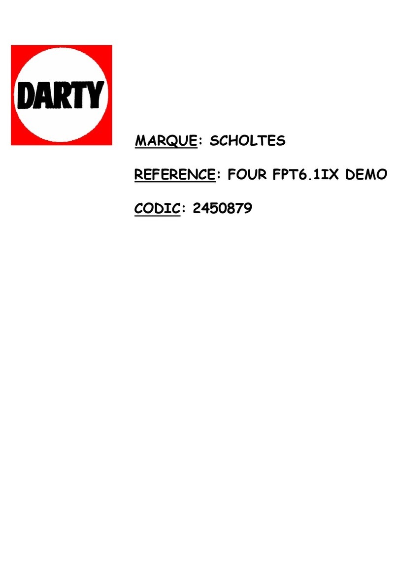 SCHOLTES FP T6.1 User manual