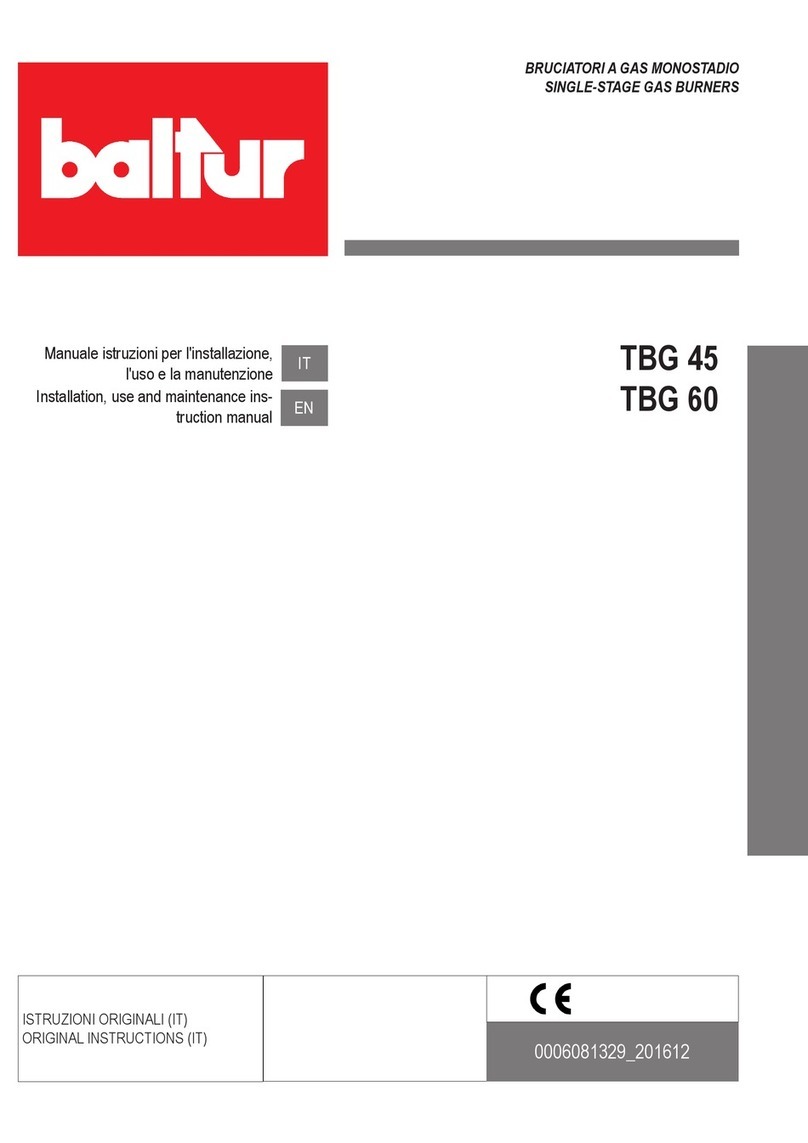 baltur TBG 45 INSTALLATION, USE AND MAINTENANCE INSTRUCTION MANUAL