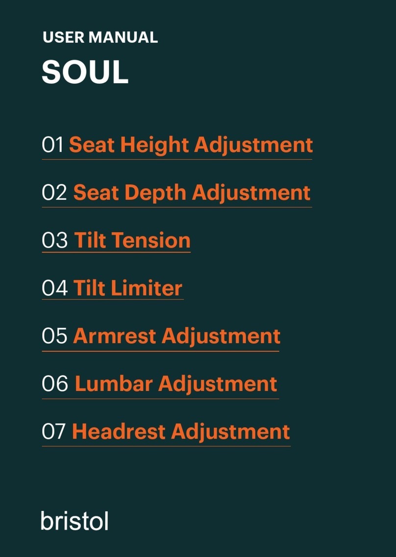 Bristol SOUL user manual