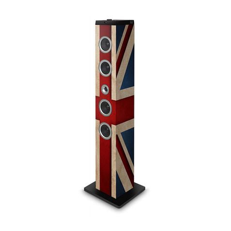 Bigben TW7 User manual