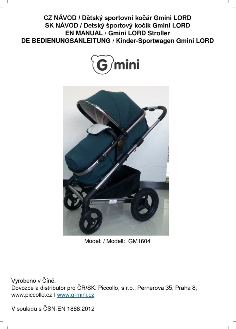 Gmini LORD User manual
