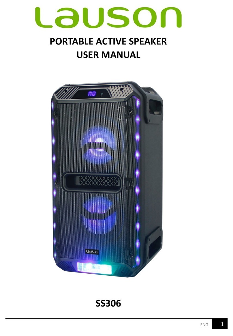 lauson SS306 User manual