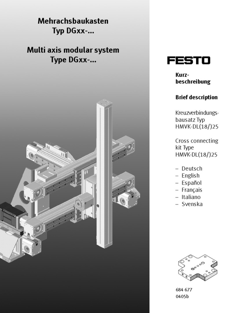 Festo DG Series User manual