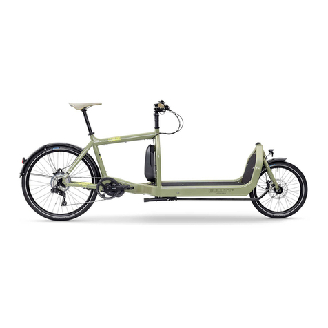 Larry vs Harry eBullitt User manual