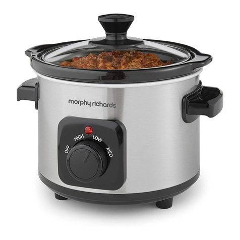 Morphy Richards 460300 User manual