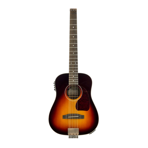Traveler Guitar REDLANDS DREADNOUGHT user guide