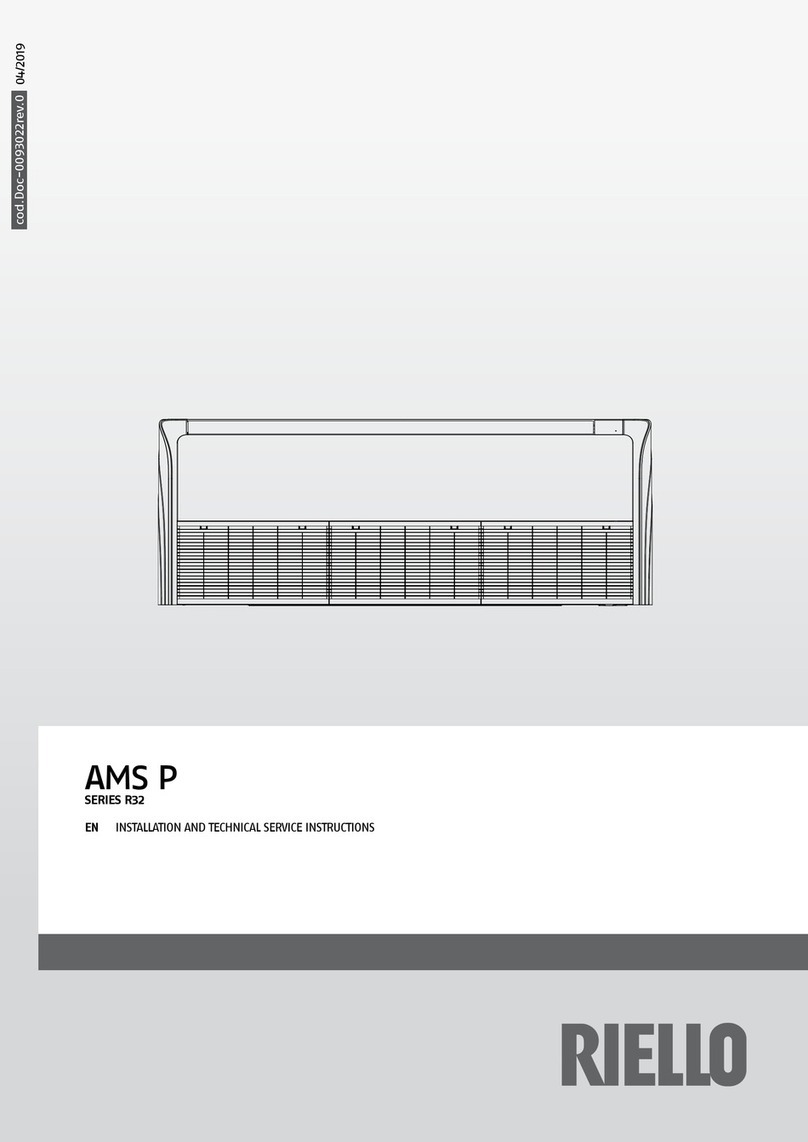 Riello AMS P Series Installation and technical service instructions