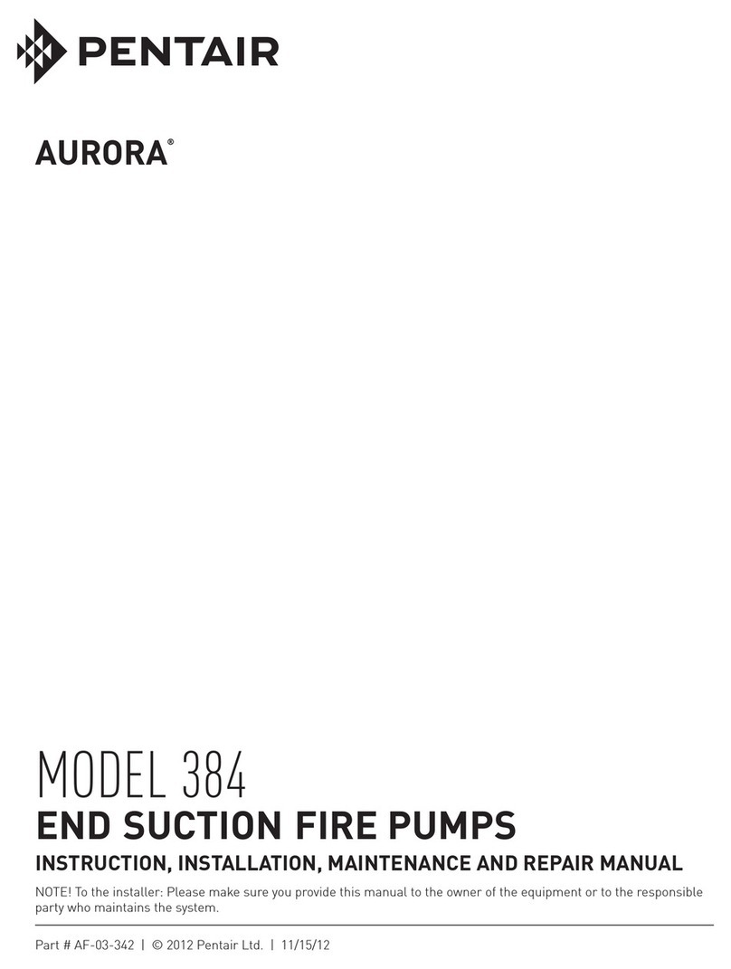 Pentair Aurora 384 INSTRUCTION, INSTALLATION, MAINTENANCE AND REPAIR MANUAL