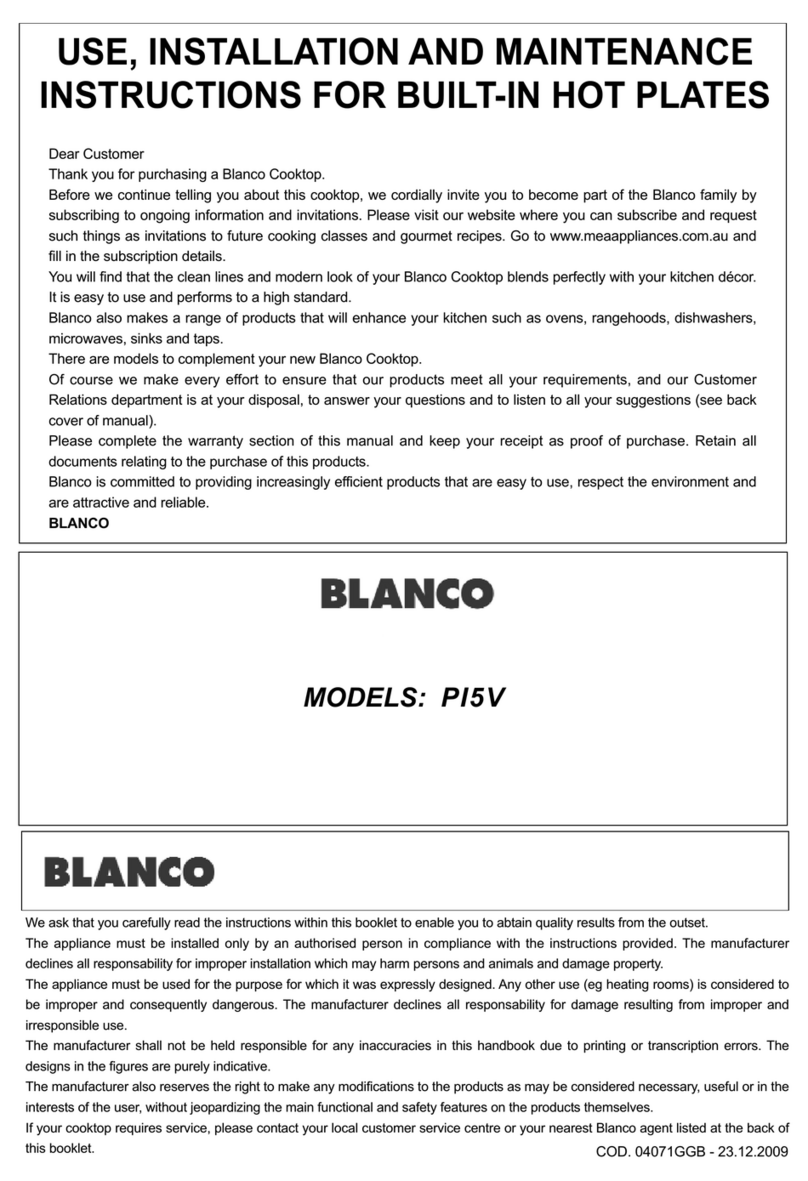 Blanco PI5V Technical manual