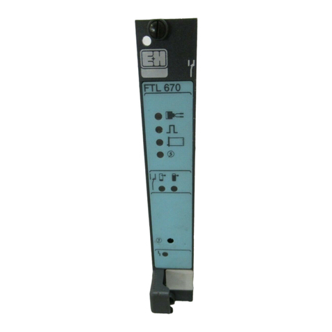 Endress+Hauser Liquiphant S FDL60 Functional safety manual