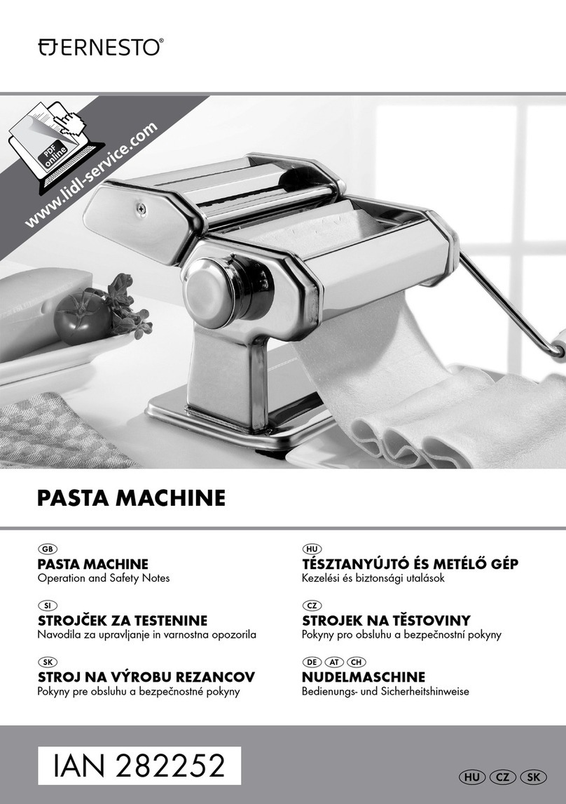 Ernesto HG00385 User manual