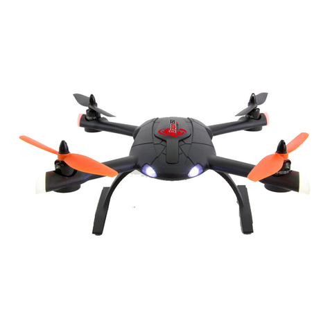 XciteRC Dragon 250 manual
