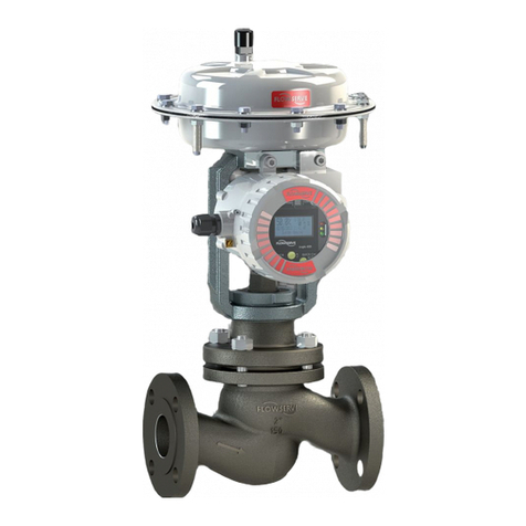 Flowserve Valtek GS User manual