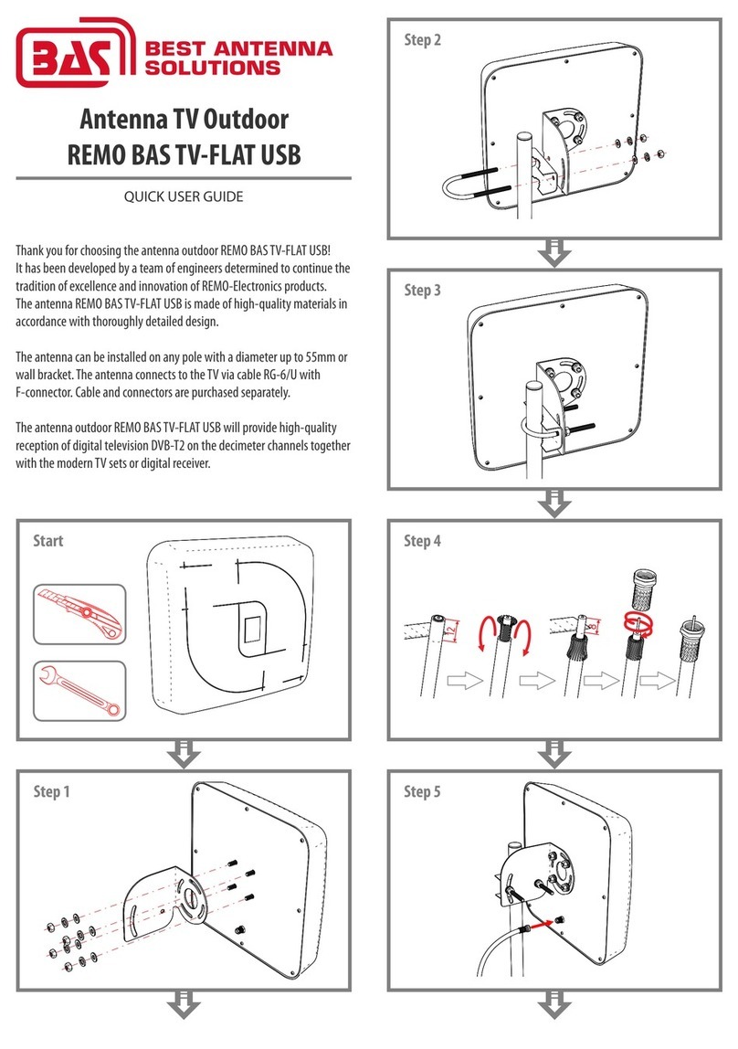 BAS REMO BAS TV-FLAT USB Instruction manual