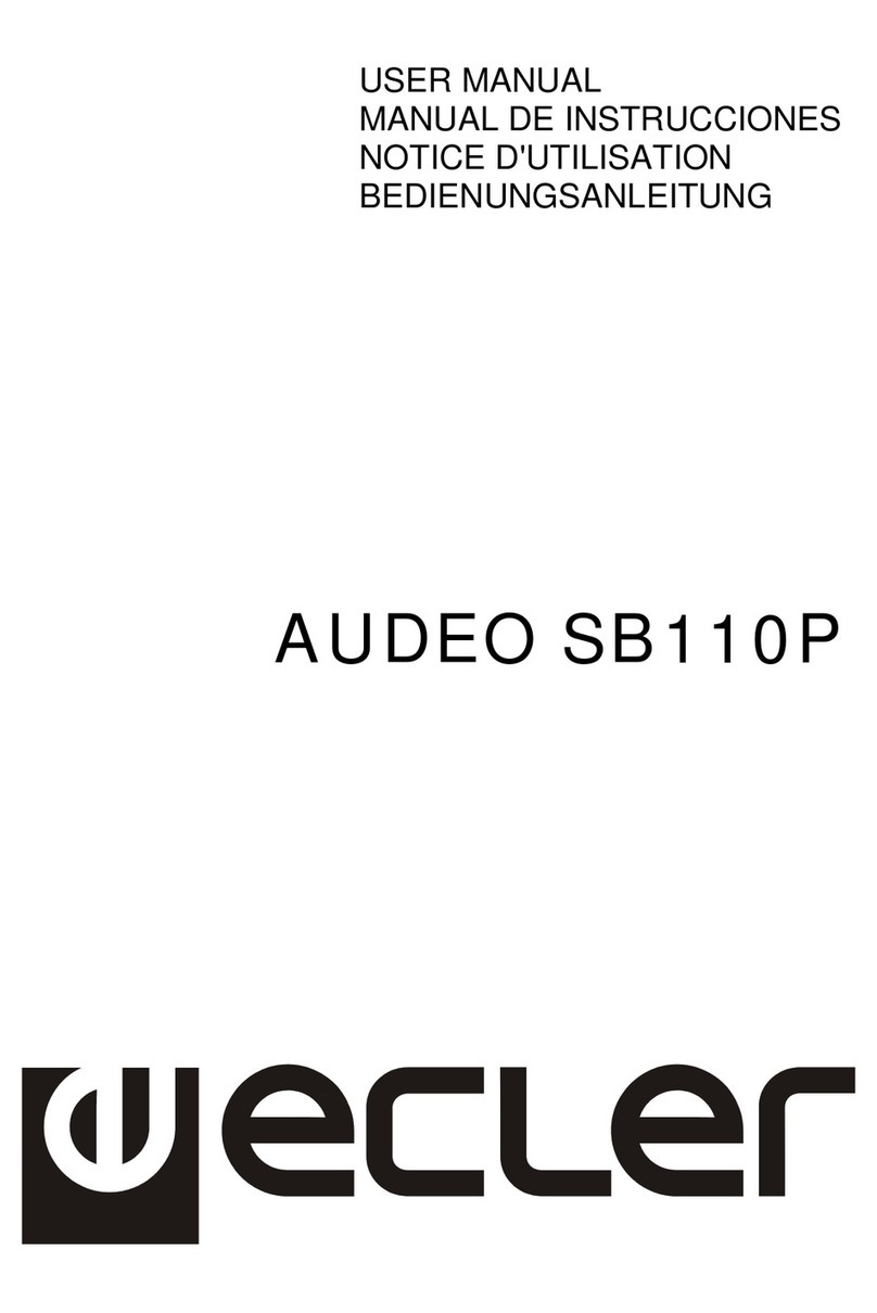 Ecler AUDEO SB110P user manual