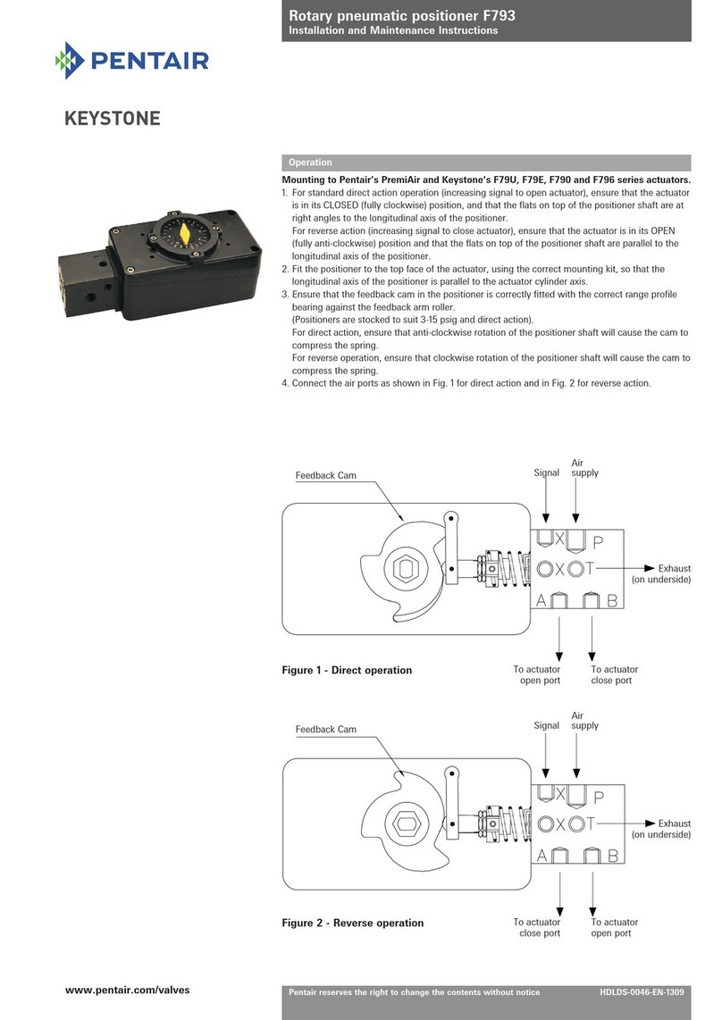 Pentair KEYSTONE F793 Installation and maintenance instructions