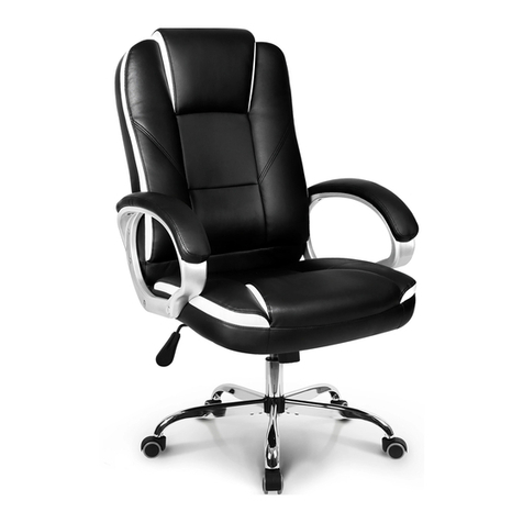 Neo Chair BLC Assembly instruction