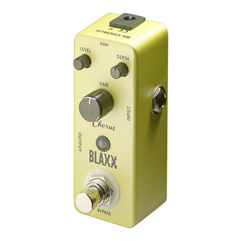 Stagg Blaxx User manual