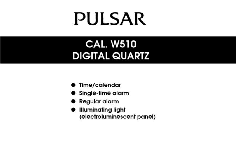 Pulsar W510 manual
