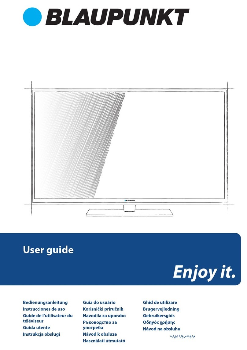 Blaupunkt BLA-MAN-0301 User manual
