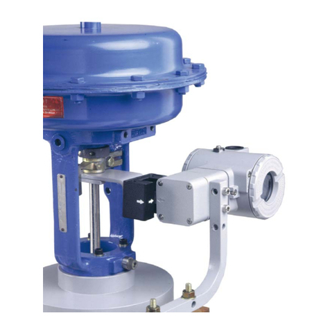SMAR TP303 Manual