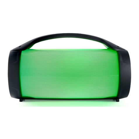 Bigben PARTYBTLITE User manual
