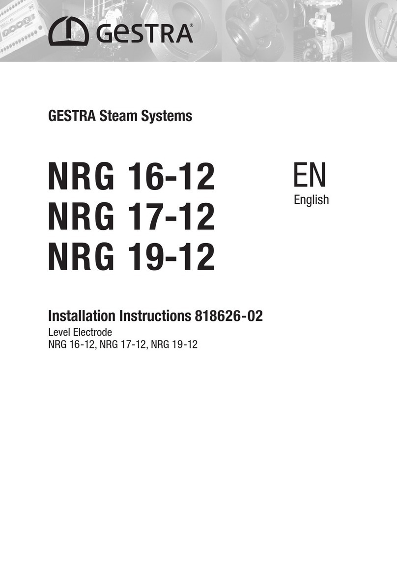 GESTRA NRG 16-12 installation instructions