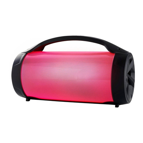 Bigben PARTY PARTYBTLITE operating instructions
