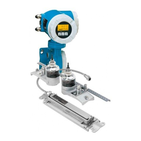 Endress+Hauser Proline Prosonic Flow 93 User manual