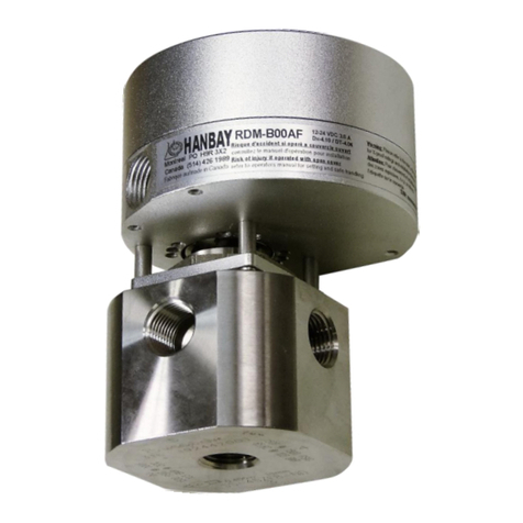 Hanbay RD-DT-10.31 Series user manual Hanbay RD-DT-10.31 Series user manual