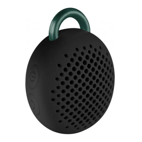 Divoom Bluetune-Bean User manual Divoom Bluetune-Bean User manual
