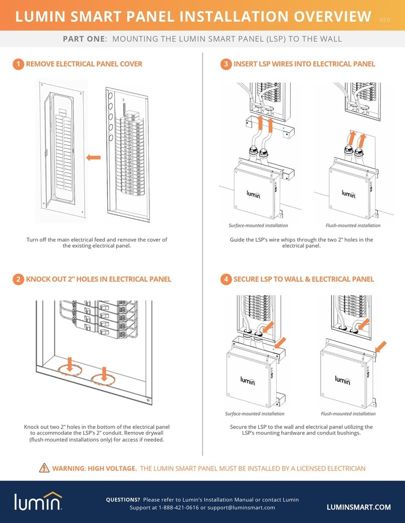 Lumin LSP Installation guide