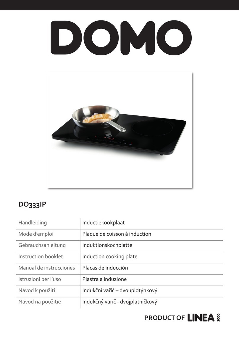 Linea 2000 DOMO DO333IP User manual Linea 2000 DOMO DO333IP User manual